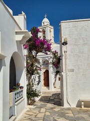 Fototapeta premium Narrow street in traditional white Greek village