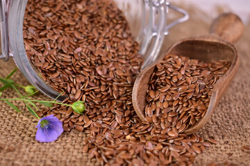 Flax seeds and flax flowers.Close-up.	