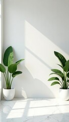Empty white room, plants, marble wall, minimalist background, interior design, marble wall, pure