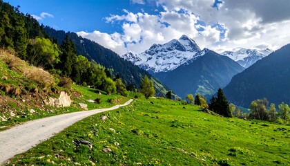 Fototapeta premium Mountain valley road with wildflowers