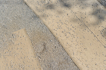 detail of an embedded timber path or timber-aggregate trail