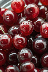 Juicy cranberries, collected in a transparent glass bowl, with sparkling dew drops on the surface