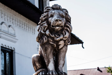 lion on the roof