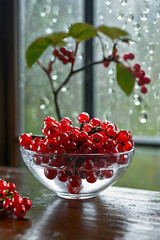 Juicy clusters of viburnum, gathered in a transparent glass bowl, with sparkling dew drops on the berries