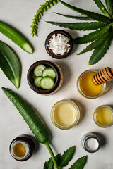 Ingredients for making cosmetics or home care. Fresh cucumber, aloe vera leaf, jar of coconut oil, glass of honey