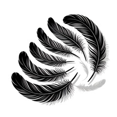 Obraz premium Elegant feathers swirl gracefully, evoking lightness and freedom