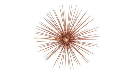 Isolated burst of sparks, fireworks, a star explosion, or a firework display with light trails