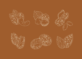 Nuts set almond, cashew, hazelnut, peanut, pistachio, walnut drawing in graphic floral style on orange background