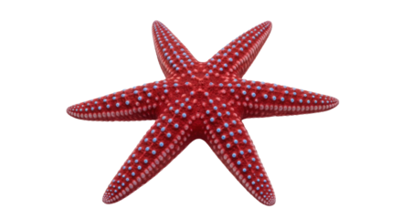 Isolated Red Starfish on Background with Blue Spots, Marine Wildlife, Ocean Creature