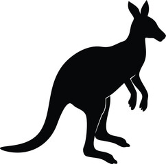kangaroo vector illustration