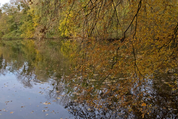 La Fosse aux Carpes, Réserve naturelle, Draveil, 91, Essonne, France