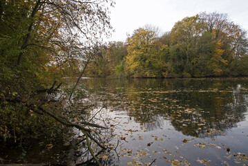La Fosse aux Carpes, Réserve naturelle, Draveil, 91, Essonne, France