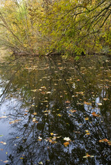 La Fosse aux Carpes, Réserve naturelle, Draveil, 91, Essonne, France