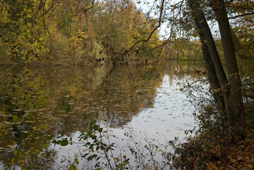La Fosse aux Carpes, Réserve naturelle, Draveil, 91, Essonne, France