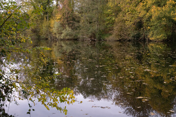 La Fosse aux Carpes, Réserve naturelle, Draveil, 91, Essonne, France