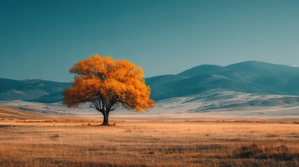 Solitary Tree with Vibrant Autumn Leaves Against Blue Sky Background