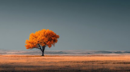 Vibrant Autumn Tree Against Dramatic Sky in Open Landscape