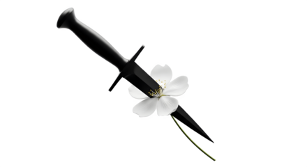 A stark black dagger pierces a delicate white flower in high contrast, symbolic art.