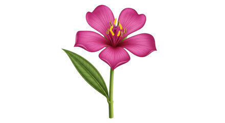 Isolated vibrant pink flower with green leaf, elegant single bloom for spring concept
