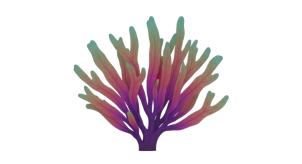 Isolated marine plant, underwater vegetation, red seaweed element for aquarium tanks