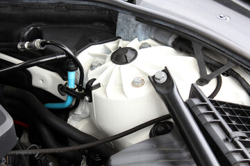 Close-up of car engine bay highlighting white strut mount with black cap, bolts, and connected...