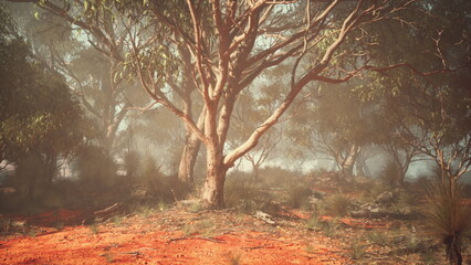 Fototapeta premium A tree in the middle of a dirt field