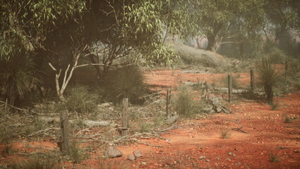 A mesmerizing dirt path meanders through a magical landscape of towering trees and lush bushes in the Australian bush.