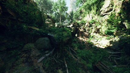 A lush forest landscape with towering trees and rocky terrain seen from above