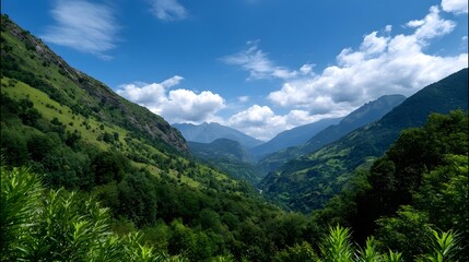 Fototapeta premium Breathtaking view of a vast, verdant mountain valley surrounded by towering peaks and dense, thriving forest foliage under a picturesque cloudy sky