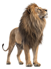 Realistic 3D Render of a Powerful Lion Standing &ndash; Isolated on Transparent Background, No Background