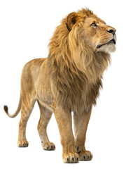 Realistic 3D Render of a Powerful Lion Standing &ndash; Isolated on Transparent Background, No Background