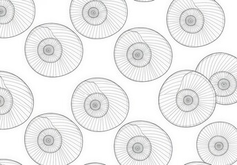 Intricate Line Art Pattern Featuring Nautilus Shells on a Soft White Background Design