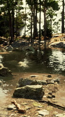 A stream filled with rocks flows steadily through a dense forest, creating a rugged and natural landscape.