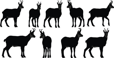 Goat silhouette illustration, horned animal profile vector, livestock shape comparison, farm animal graphic, wildlife morphology study, black goat art