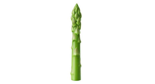 Isolated shot of a vibrant green asparagus spear, uncooked vegetable, nutritious food