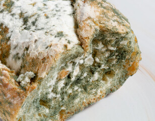 Close-up of Moldy bread on cutting board
