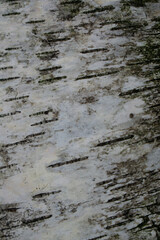 Region Teutoburger Wald