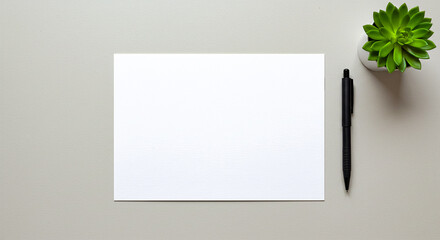 Clean workspace with blank paper, pen, and succulent plant for ideas