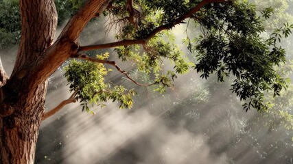Sunbeam morning misty tree branch with sunlit trunk and green leaves, mist and sunlight creating peaceful serene forest atmosphere - Powered by Adobe