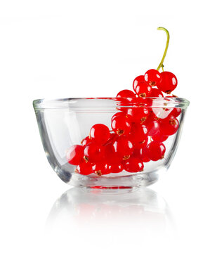 Johannisbeeren