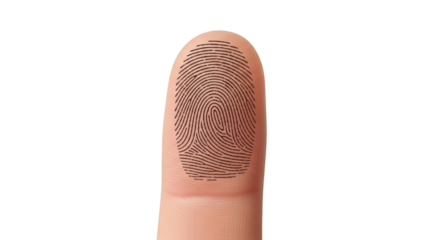 Isolated human index finger with fingerprint pattern on a skin texture, crime, security