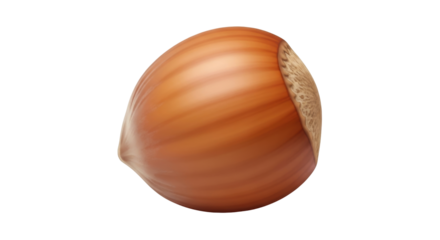 Isolated hazelnut, shelled, healthy snack, crunchy nut, edible kernel, raw vegetarian food