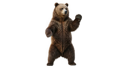 Obraz premium A brown bear standing on its hind legs with its right paw raised, isolated on transparent background