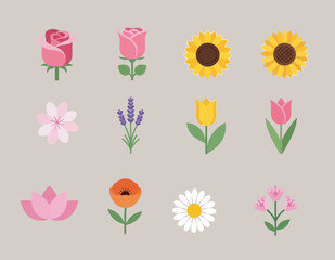 Flower set pack vector design