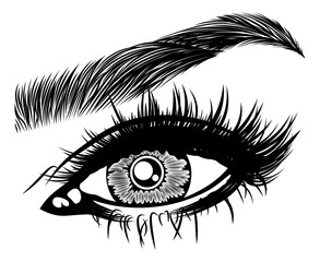 Obraz premium Illustration with woman's eye, eyelashes and eyebrow. Makeup Look. Tattoo design. Logo for brow bar or lash salon.