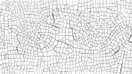 Fototapeta premium detailed abstract pattern of irregular grey lines forming cracked shapes on a white background.