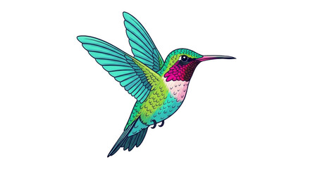 Isolated colorful cartoon illustration of a beautiful hummingbird bird with wings spread © Dennis