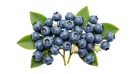 Isolated blueberries on leaves, fresh fruit, healthy eating, vibrant, organic, delicious
