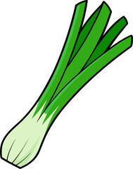 Leek Vector Illustration | Fresh Vegetable, Organic, Healthy Food Design