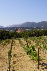 Exploring the beautiful landscapes of Kefalonia in Greece